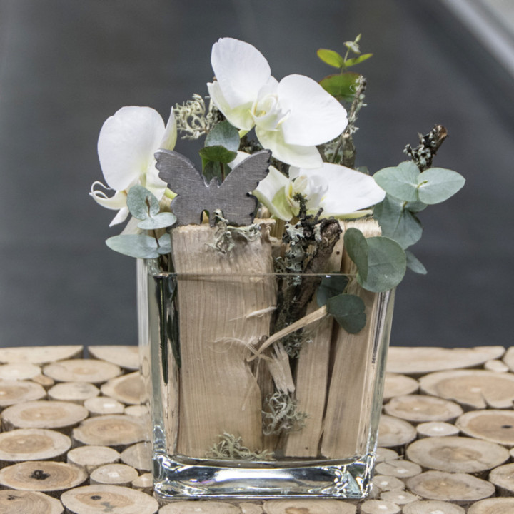 Papillon-Ochidée en verrine