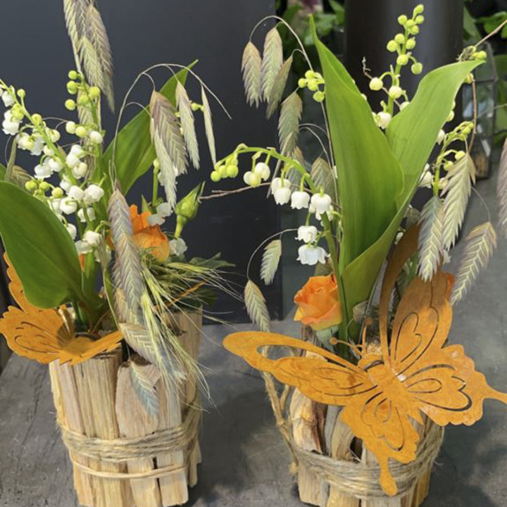 Muguet Butterfly