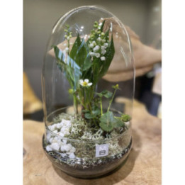 Muguet & fraises sous cloche