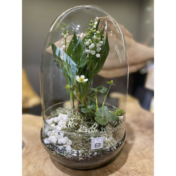 Muguet & fraises sous cloche