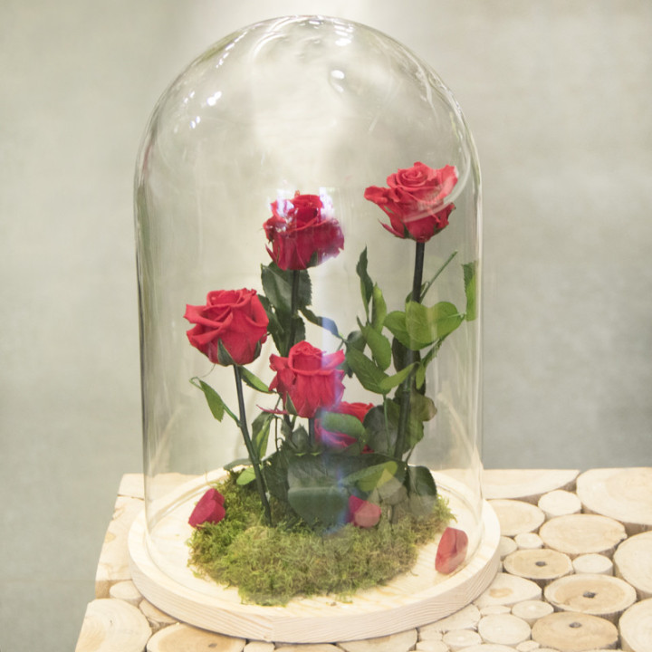 Cinq roses éternelles rouges sous une cloche en verre
