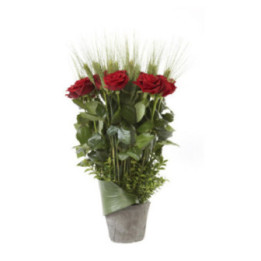 Léa - Des roses rouges éclatantes.