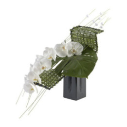 Séraphina - Un fleuron d'orchidées blanches en chaise longue.