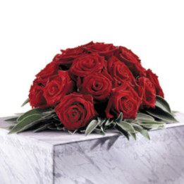 Alexandrie - Coussin de roses rouges.