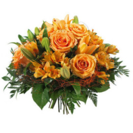 Lou - Comme un champ de fleurs orangé.
