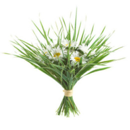 Clotilde - Bouquet élancé à l'allure printanière.