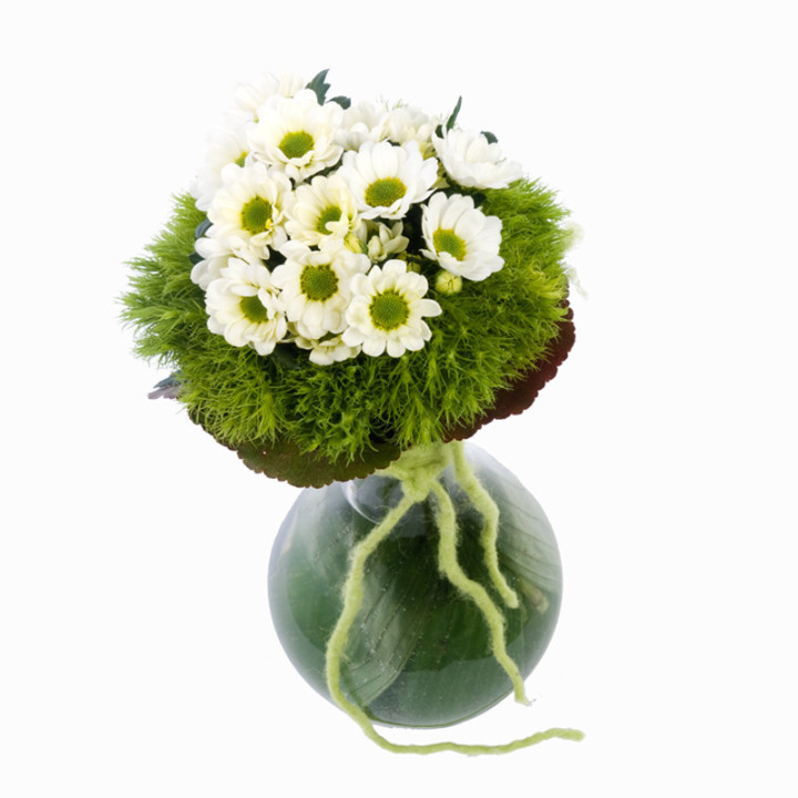 Luciole - Un petit bouquet, mais avec du caractère!