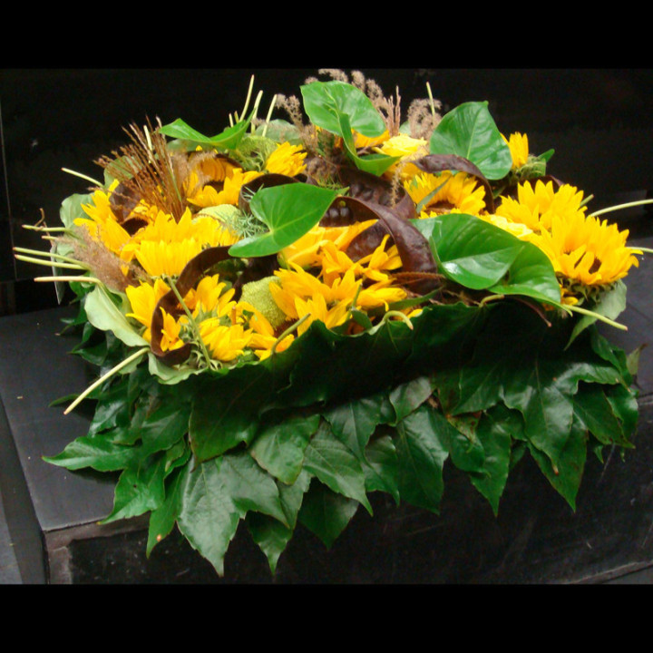 Carré de tournesol - Carré de deuil.