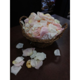 Pétales de roses