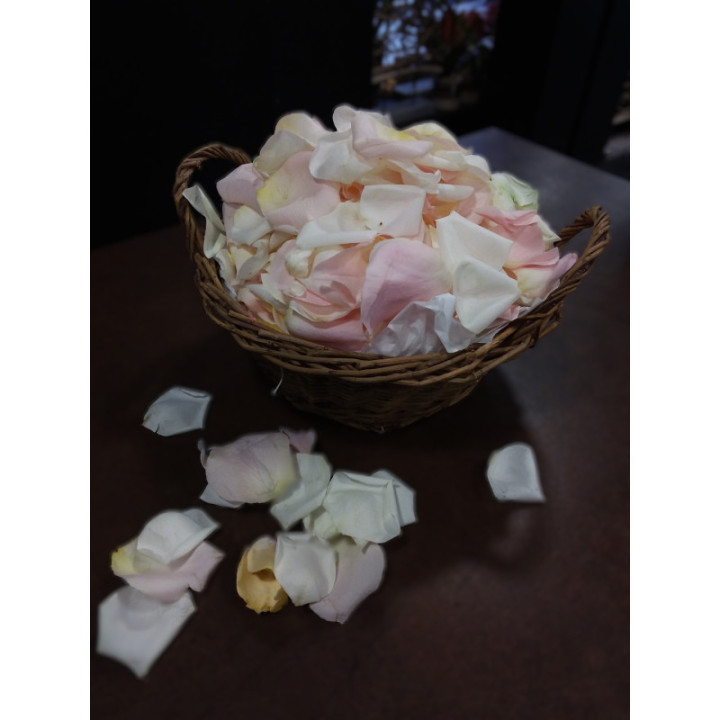 Pétales de roses