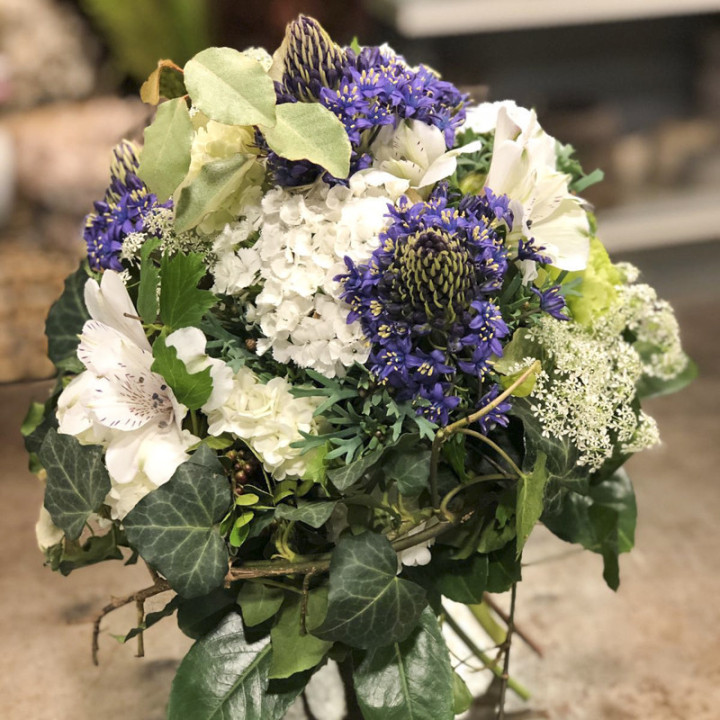 Perou - Un bouquet inédit composé de Scille du Pérou