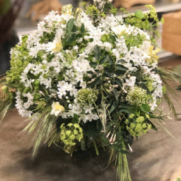 Jasmin -Un bouquet printanier