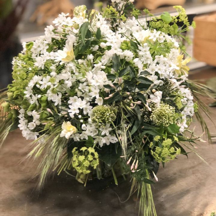 Jasmin -Un bouquet printanier