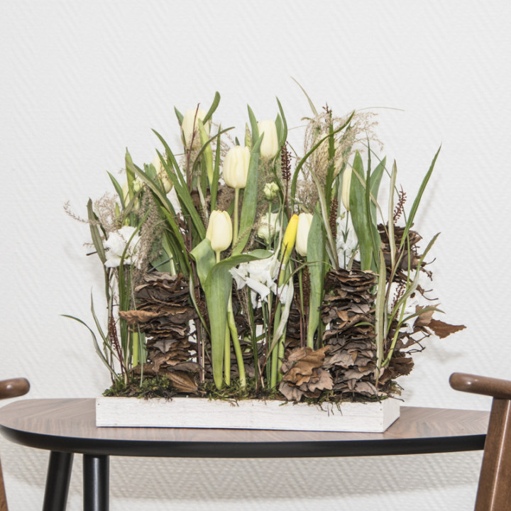 Tulipes en folie