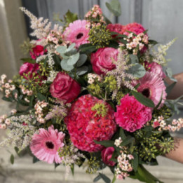Sacha - Un camaïeu de rose.